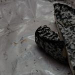 2015-04-26 Outtake 051