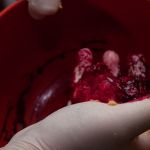 2016-04-03 Outtake 011
