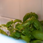 2016-05-29 Outtake 019