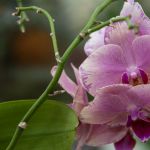 2016-05-29 Outtake 024